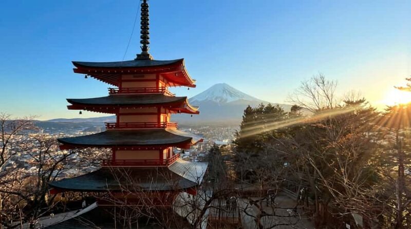 From Tokyo: Off-Peak Secret Spot Day Tour to Mount Fuji - Transportation and Logistics: Easy and Convenient