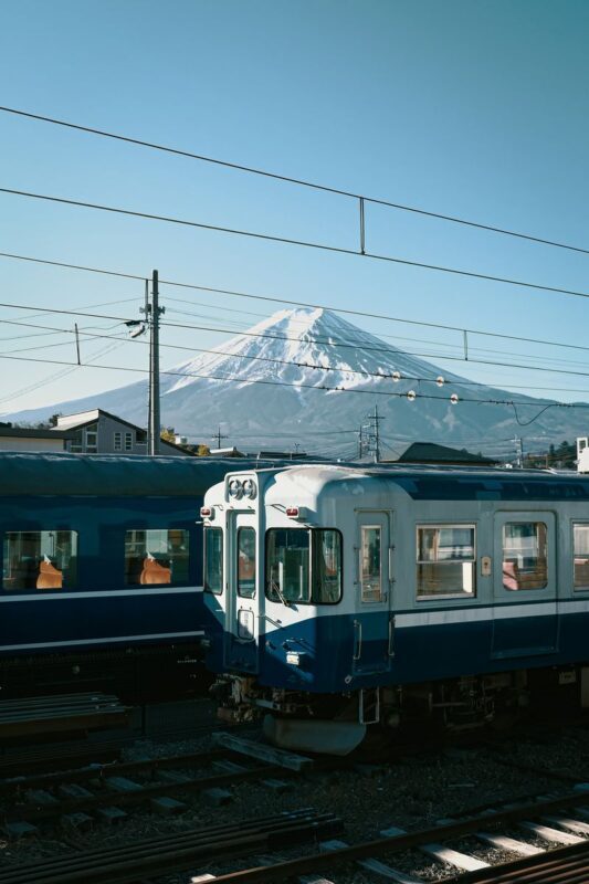 From Tokyo: One Day Private Tour To Mt Fuji and Hakone - Start early, but confirm the pickup time