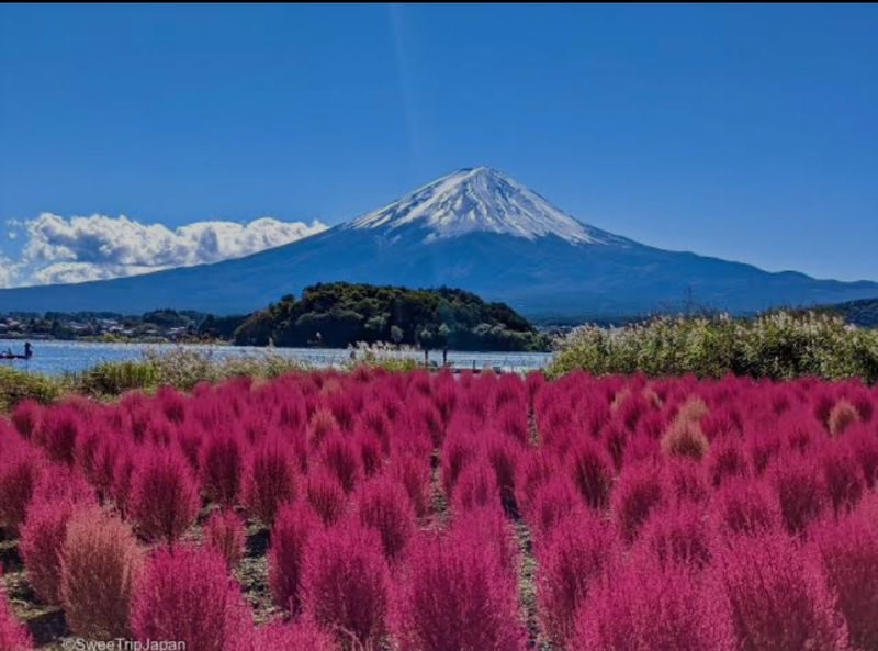 From Tokyo: One Day Private Tour To Mt Fuji and Hakone - A shrine visit offers a quieter counterpoint