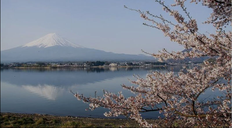 From Tokyo: One Day Private Tour To Mt Fuji and Hakone - Kachi-Kachi Ropeway: a high view over Lake Kawaguchi