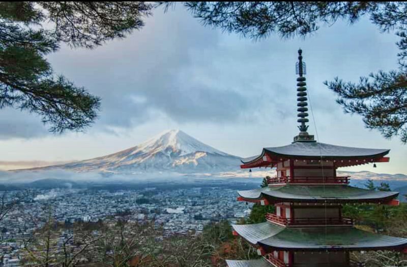 From Tokyo: One Day Private Tour To Mt Fuji and Hakone - The Lawson photo stop: popular for a reason