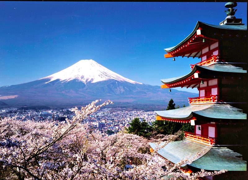 From Tokyo: One Day Private Tour To Mt Fuji and Hakone - The 5th Station: high altitude, with a weather caveat