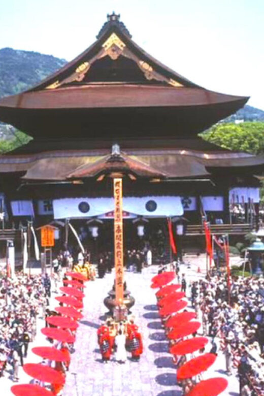 From Tokyo or Nagano: Private Snow Monkey Park Full day trip - Who This Tour Is Best For