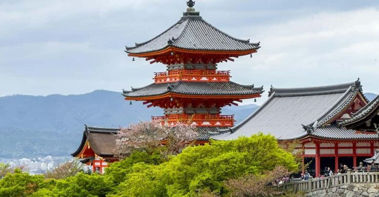 From Tokyo: Private Day Trip to Hakone With English Driver - Itinerary Highlights