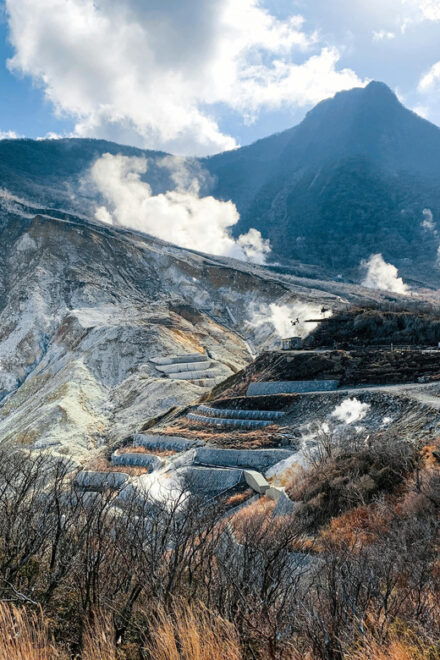 From Tokyo: Private Day Trip to Hakone With English Driver - Inclusions