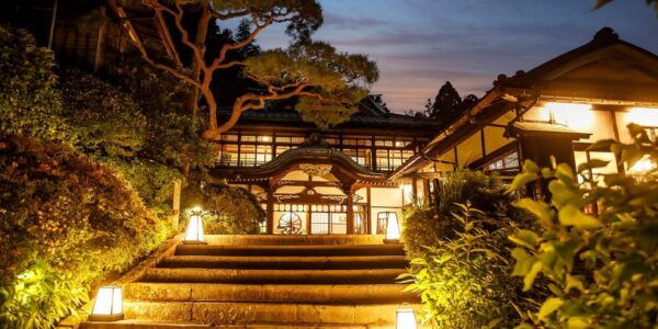 From Tokyo: Private Day Trip to Hakone With English Driver - Customization Options