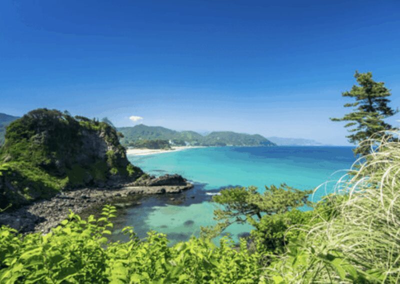 From Tokyo: Private Day Trip to Izu & Shimoda, Shizuoka - Good To Know