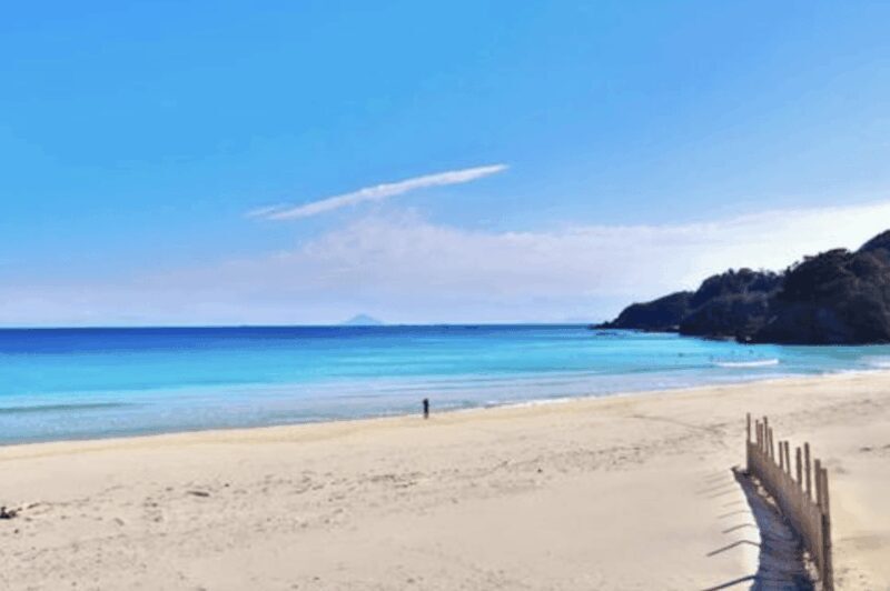 From Tokyo: Private Day Trip to Izu & Shimoda, Shizuoka - Final Thoughts: Who Will Love This Tour?