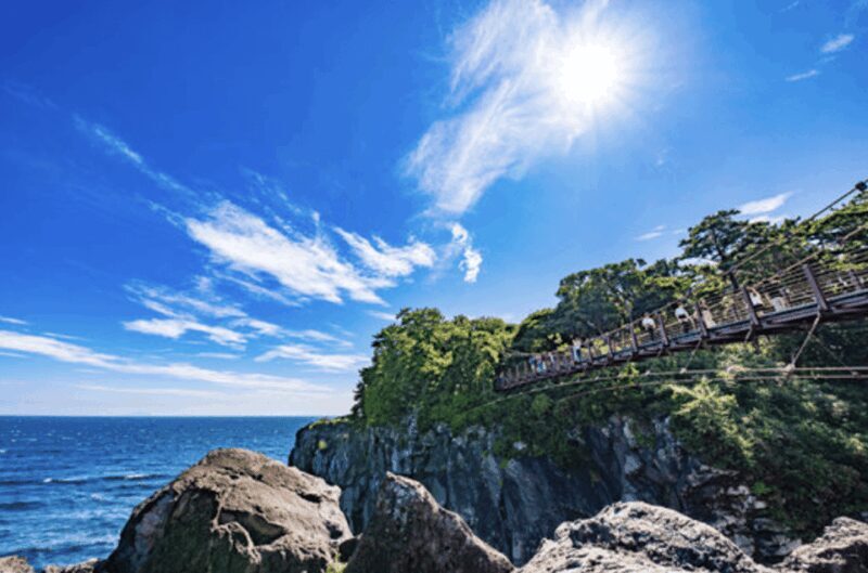 From Tokyo: Private Day Trip to Izu & Shimoda, Shizuoka - Who Would Love This Tour?