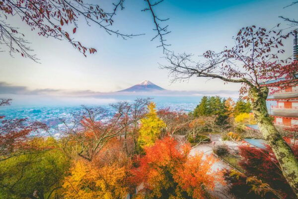 From Tokyo: Private Day Trip to Mount Fuji and Surroundings - Weather Considerations