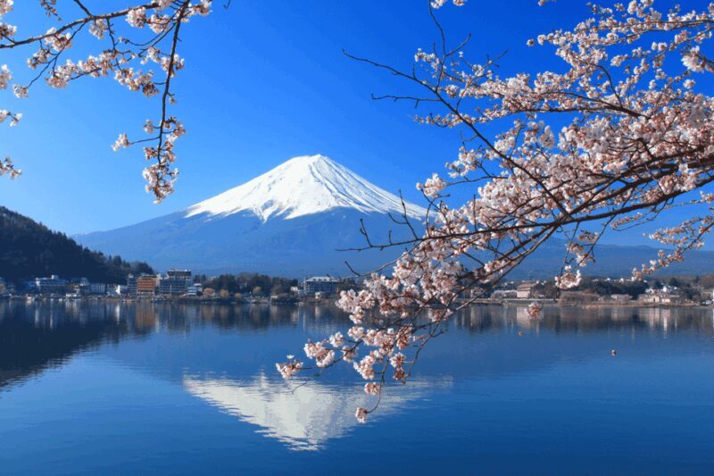 From Tokyo: Private Day Trip to Mount Fuji & Fuji Five lakes - FAQs