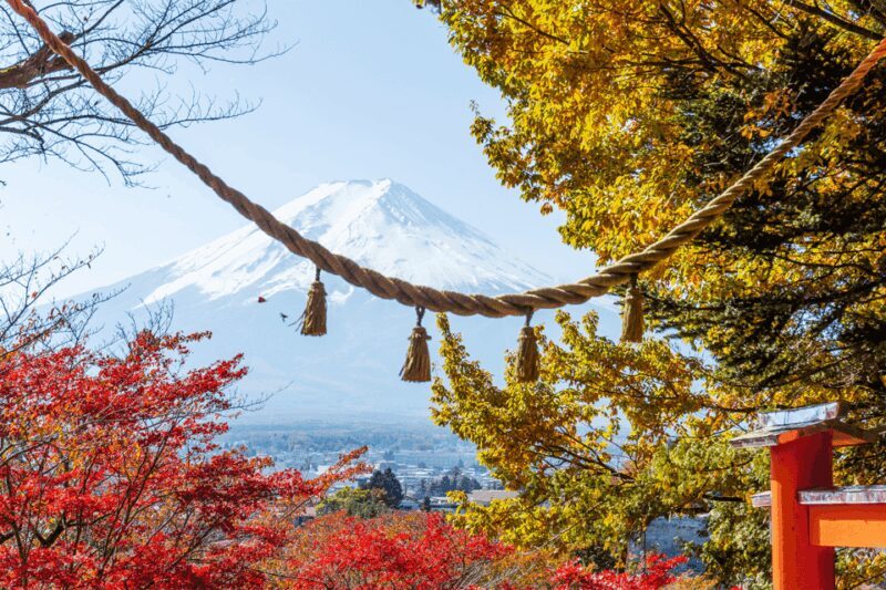 From Tokyo: Private Day Trip to Mount Fuji & Fuji Five lakes - The Experience Provider
