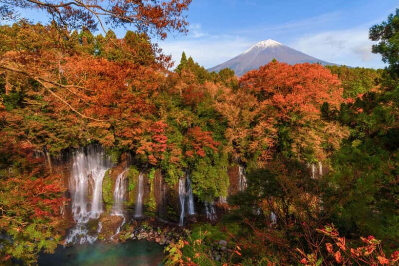 From Tokyo: Private JDM/Sports Car Tour - Mt Fuji and Hakone - Pricing and Value