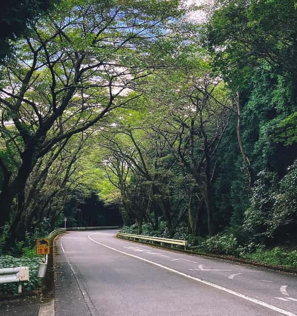 From Tokyo: Private Motorcycle Tour - Fuji, Hakone, Onsen - FAQ