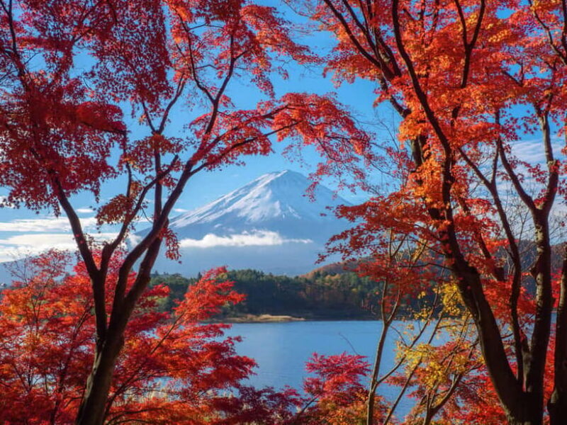 From Tokyo: Private Motorcycle Tour - Fuji, Hakone, Onsen - Who Should Consider This Tour?