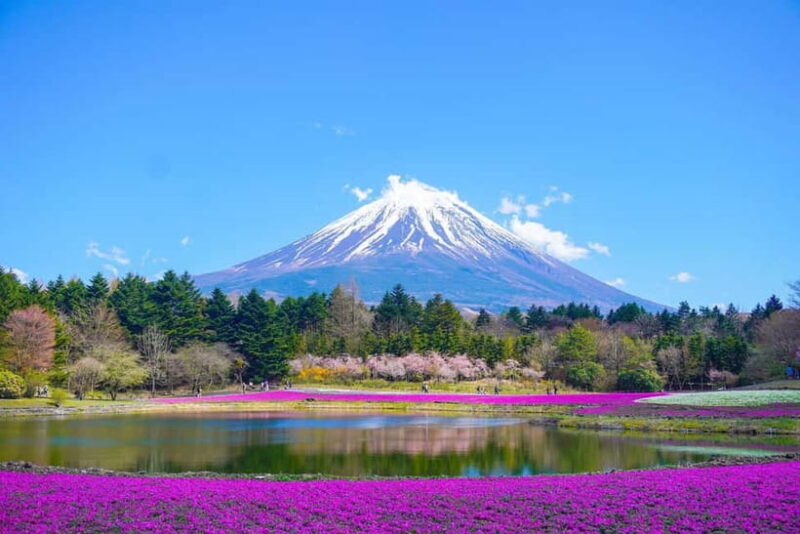From Tokyo: Private Mount Fuji Day Trip by Car - Good To Know