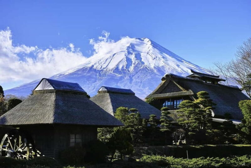 From Tokyo: Private Mount Fuji Day Trip by Car - Who Is This Tour Best For?