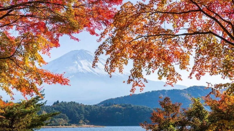 From Tokyo: Private Mt. Fuji and Hakone Tour by Car - Good To Know