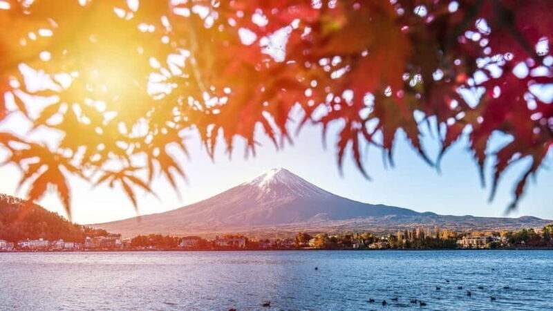 From Tokyo: Private Mt. Fuji and Hakone Tour by Car - Introduction