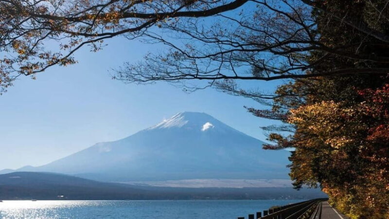 From Tokyo: Private Mt. Fuji and Hakone Tour by Car - Practical Tips for Making the Most of Your Day