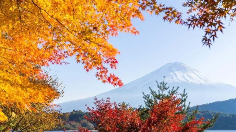 From Tokyo: Private Mt. Fuji and Hakone Tour by Car - Who this tour is best suited for