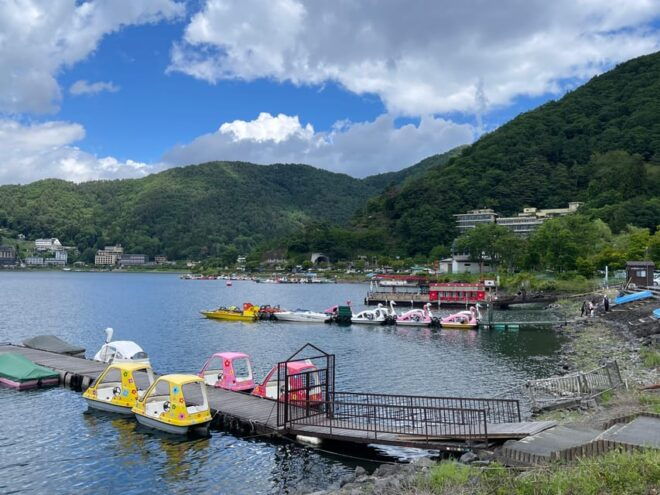 From Tokyo: Private Mt. Fuji Tour With Guide - Pickup and Drop-off Details