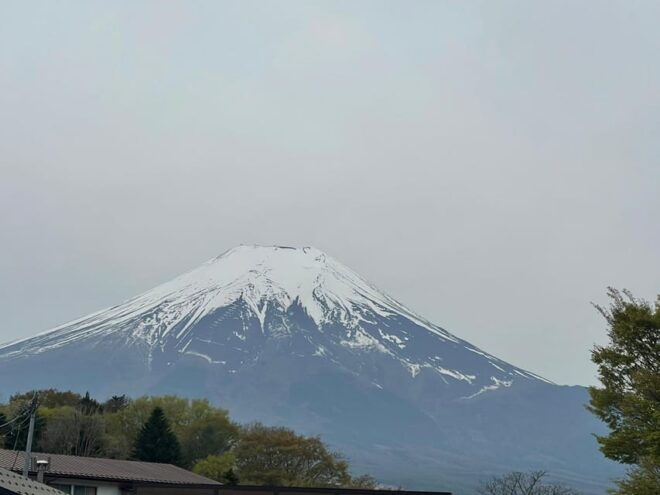 From Tokyo: Private Mt. Fuji Tour With Guide - Inclusions of the Tour