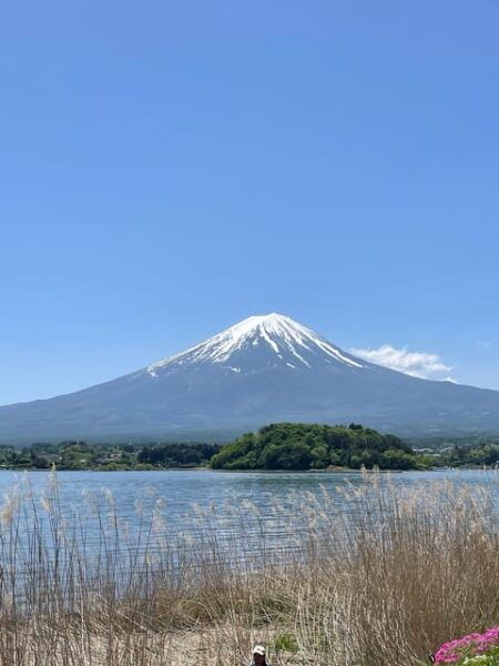 From Tokyo: Private Mt. Fuji Tour With Guide - Important Tour Information