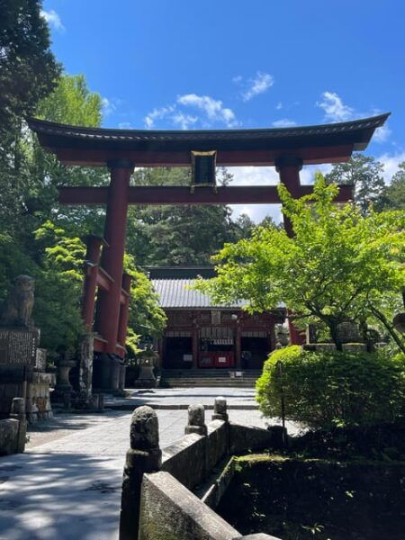 From Tokyo: Private Mt. Fuji Tour With Guide - What to Bring