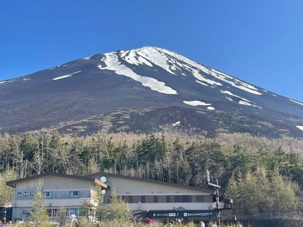 From Tokyo: Private Mt. Fuji Tour With Guide - Frequently Asked Questions