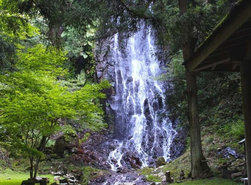 From Tokyo: Private Nikko Shrines and Nature Day Tour - Good To Know