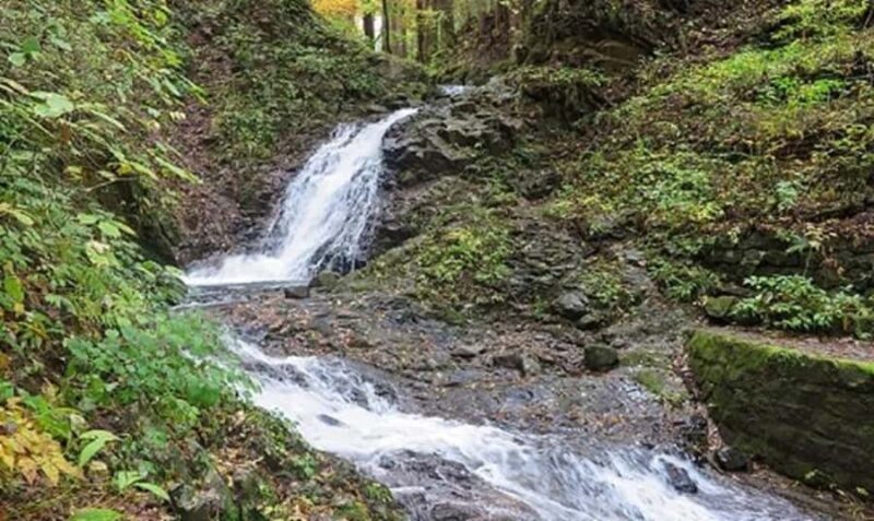 From Tokyo: Private Nikko Shrines and Nature Day Tour - Why This Tour Stands Out