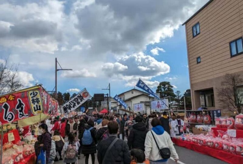 From Tokyo: Private Nikko Shrines and Nature Day Tour - Who Is This Tour Best For?