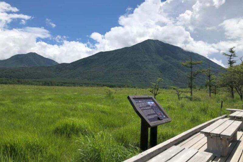 From Tokyo: Private Nikko Shrines and Nature Day Tour - FAQs