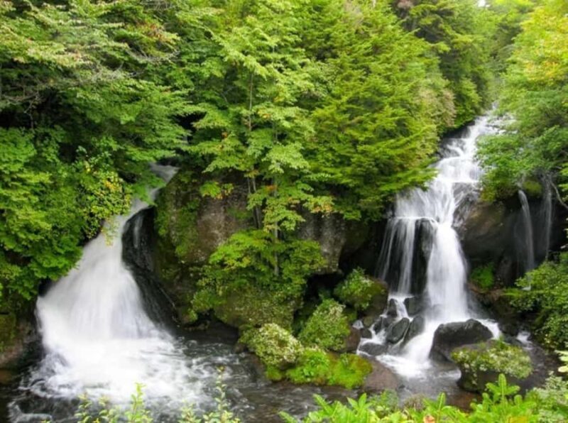From Tokyo: Private Nikko Shrines and Nature Day Tour - Who Will Love This Tour?