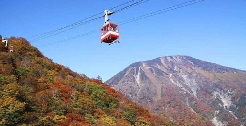 From Tokyo: Private Nikko Shrines and Nature Day Tour - Frequently Asked Questions