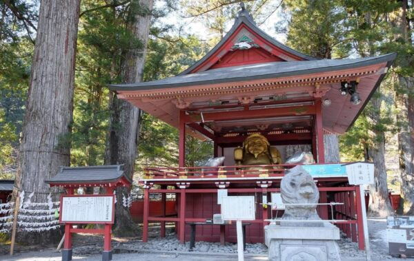 From Tokyo: Private Nikko World Heritage Sights Day Trip - Important Travel Information