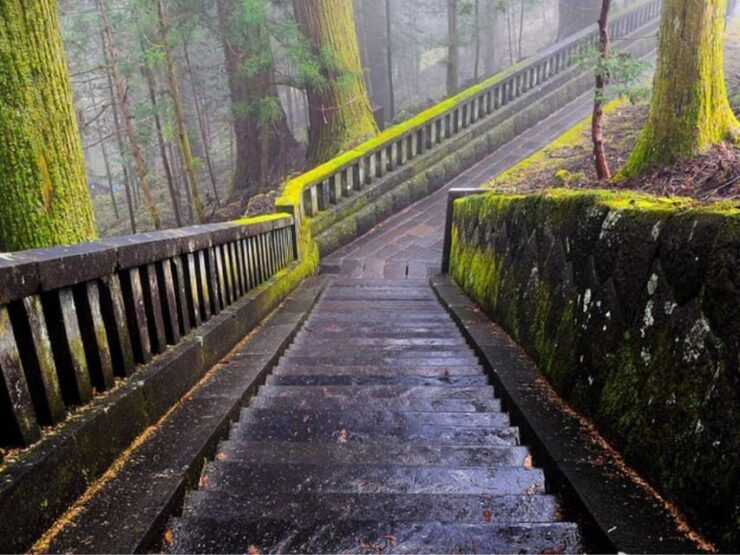 From Tokyo: Private Nikko World Heritage Sights Day Trip - Itinerary Highlights
