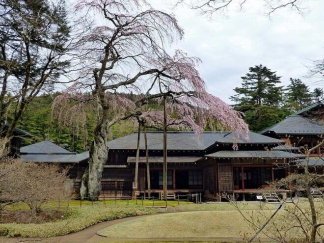 From Tokyo: Private Nikko World Heritage Sights Day Trip - Customization Opportunities