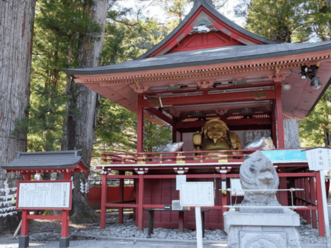 From Tokyo: Private Nikko World Heritage Sights Day Trip - What to Expect