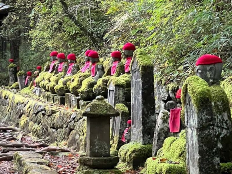 From Tokyo: Private Nikko World Heritage Sights One Day Trip - Good To Know