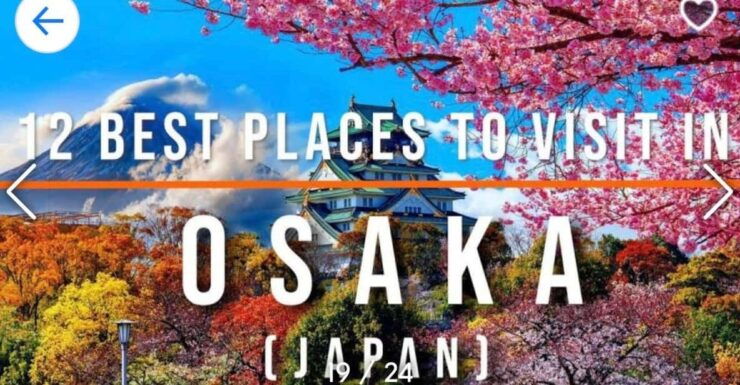 From Tokyo-Private Osaka Kyoto Nara Tour With English Guide - Good To Know
