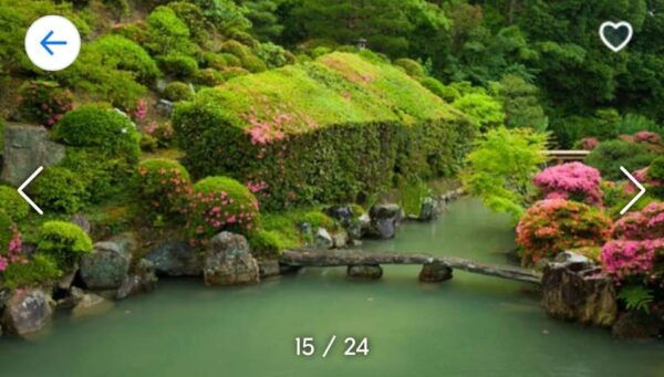 From Tokyo-Private Osaka Kyoto Nara Tour With English Guide - Customization Options