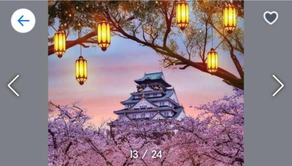 From Tokyo-Private Osaka Kyoto Nara Tour With English Guide - Booking and Cancellation Policy