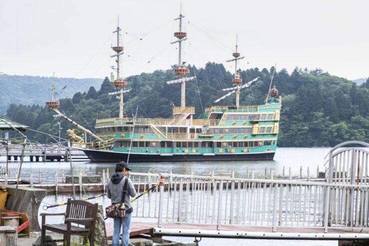 From Tokyo: Private Scenic Day Trip to Hakone - Activity Details
