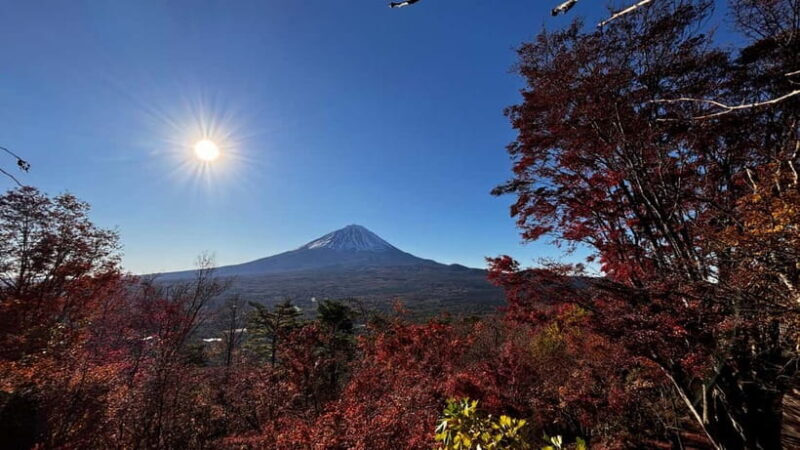 From Tokyo: Private Sunrise & Scenic Tour to Mt Fuji - Frequently Asked Questions
