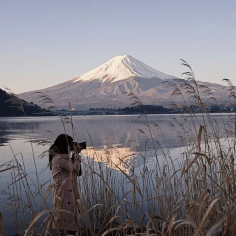From Tokyo Private Tour Mount Fuji Fully Customize Itinerary - What to Expect from the Day