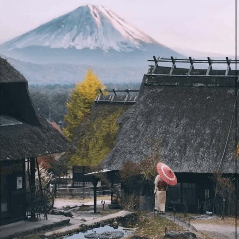 From Tokyo Private Tour Mount Fuji Fully Customize Itinerary - Who Will Love This Tour?