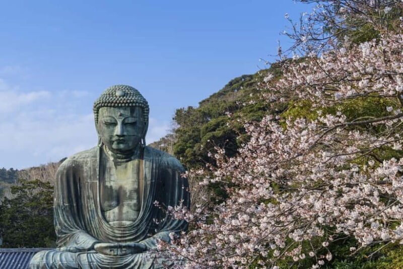 From Tokyo: Private Tour to Kamakura - Temples, Sea, Onsen - Good To Know