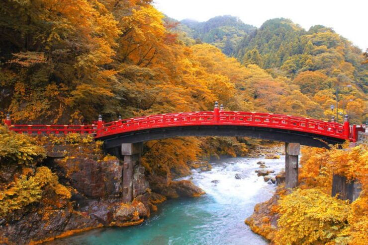 From Tokyo: Private Trip to Nikko and Lake Chuzenji - Activity Details